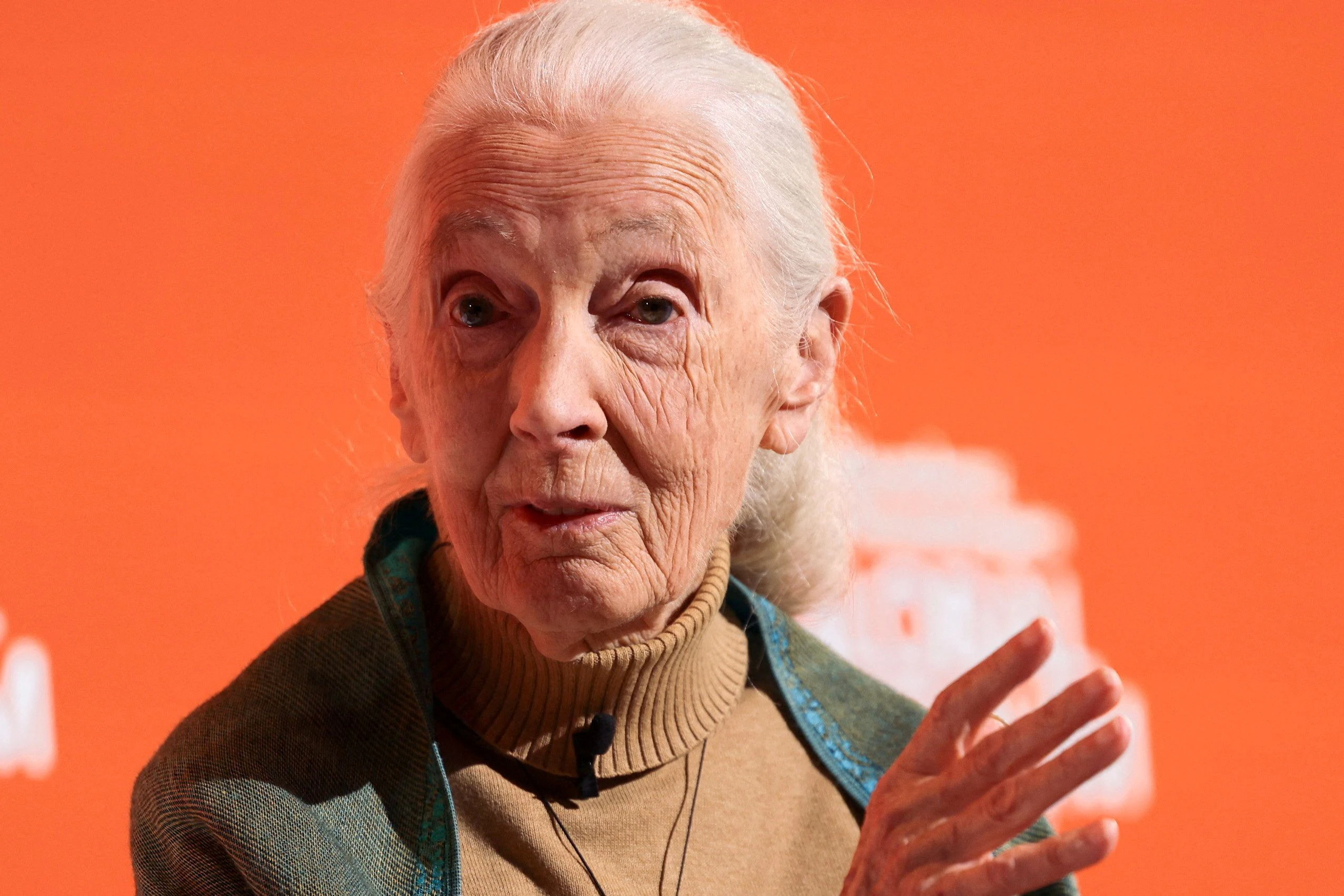 The Legacy of Jane Goodall in Primatology and Conservation