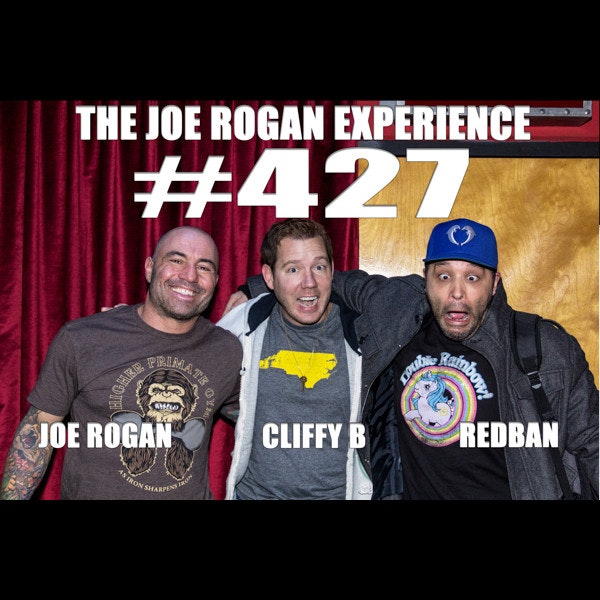 The Influence of Joe Rogan on Modern Media and Culture