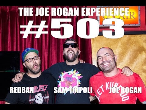 Joe Rogan and His Pivotal Role in the UFC