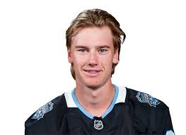 Josh Doan: A Promising Future in Hockey