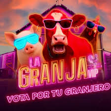 Understanding the Importance of Voting in La Granja VIP