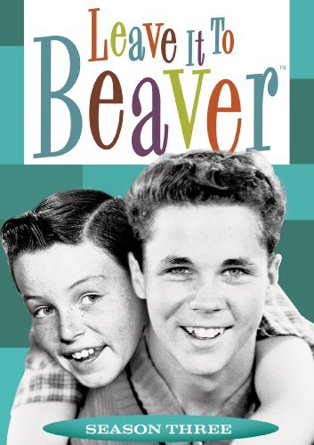 Leave It to Beaver: A Timeless Reflection of American Family Life