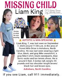 The Remarkable Rise of Liam King in the Entertainment Industry