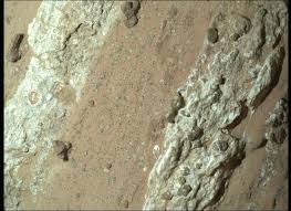 The Search for Life Found on Mars: New Discoveries and Implications