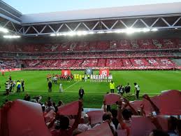 Lille FC: A Closer Look at the French Football Club