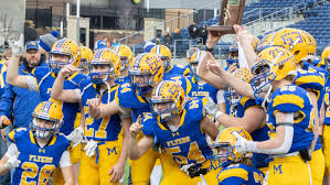 Latest Developments in Marion Local Football