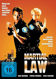 The Significance of Martial Law in Today’s Society