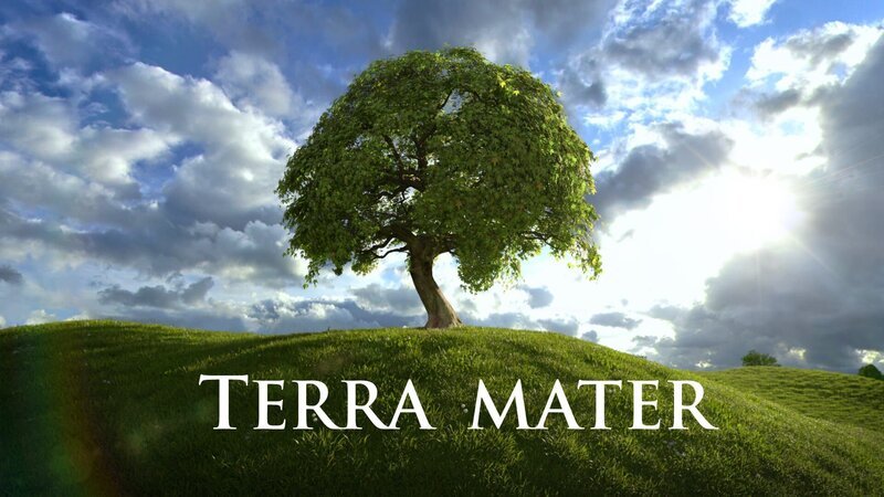 Exploring Mateer: Pioneering Innovation in Technology