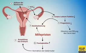 Understanding Mifepristone: Latest Updates and Implications