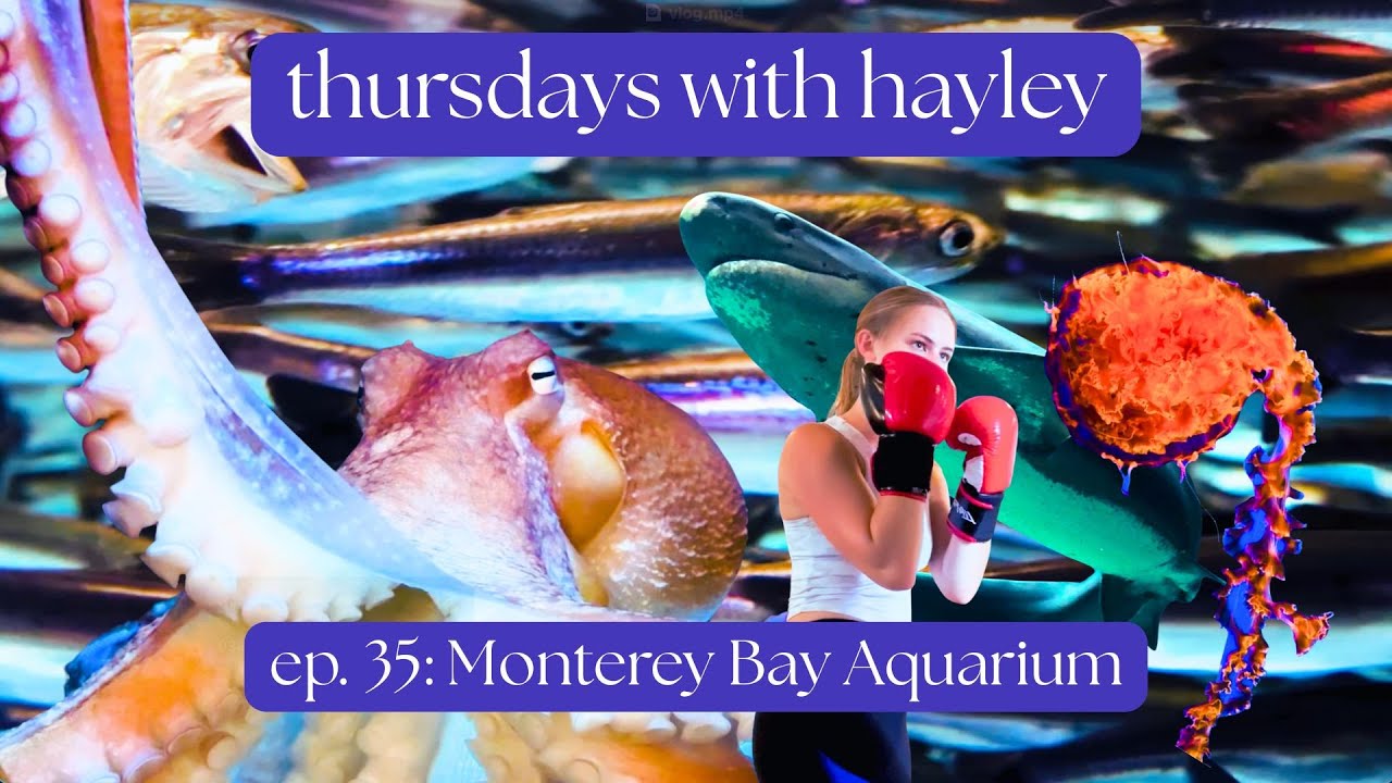 Discover the Marvels of Monterey Bay Aquarium