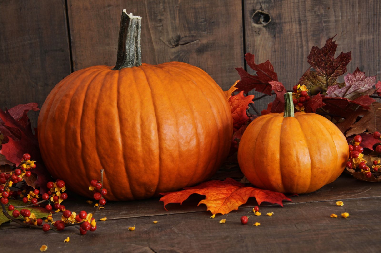 The Significance and Celebration of National Pumpkin Day