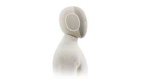 The Emergence of Neo Robot in Modern Automation