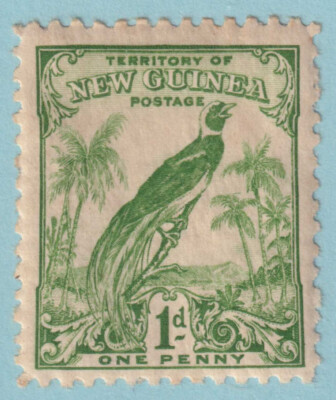 Exploring New Guinea: A Cultural and Biodiversity Marvel