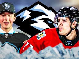 The NHL Mammoth: Revolutionizing Professional Hockey