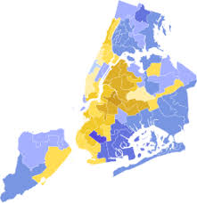 A Look at the 2023 NYC Mayoral Election
