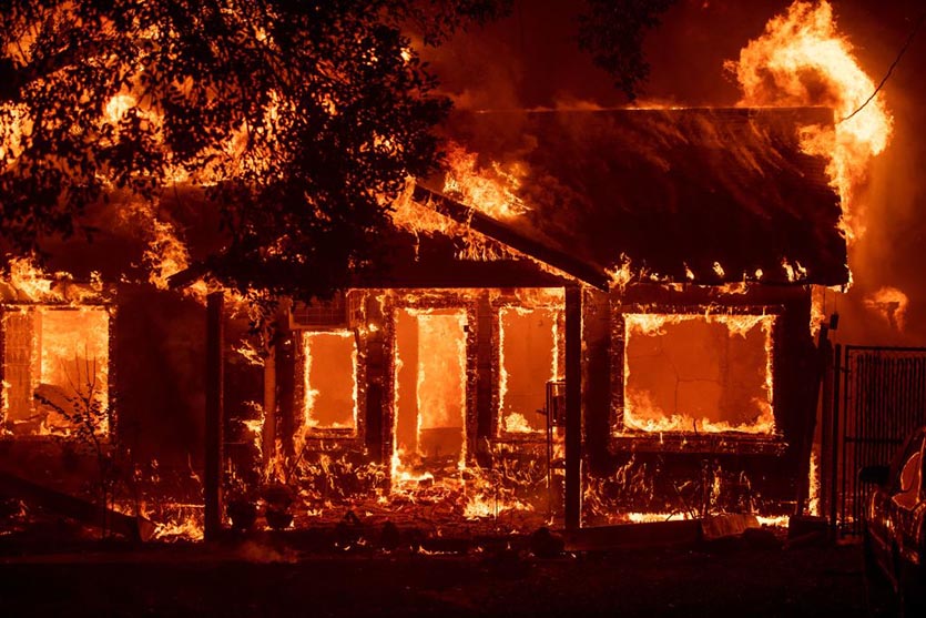 The Devastating Impact of the Paradise Fire