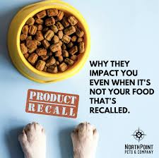 Recent Pet Food Recalls: What You Need to Know