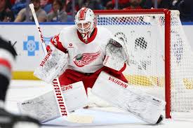 Red Wings and Sabres Clash in Thrilling NHL Showdown