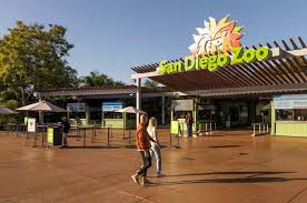 Discover the Wonders of the San Diego Zoo