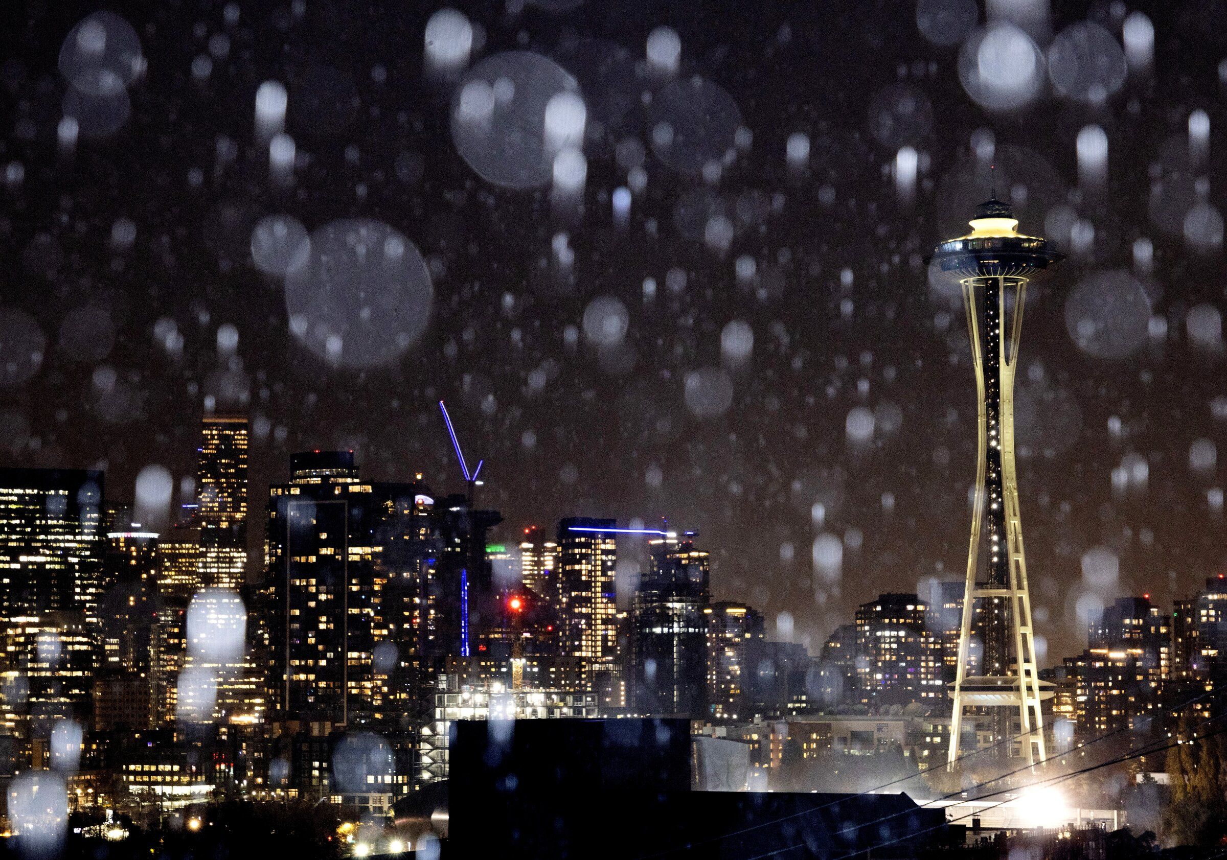 Current Seattle Weather: What to Expect This Season