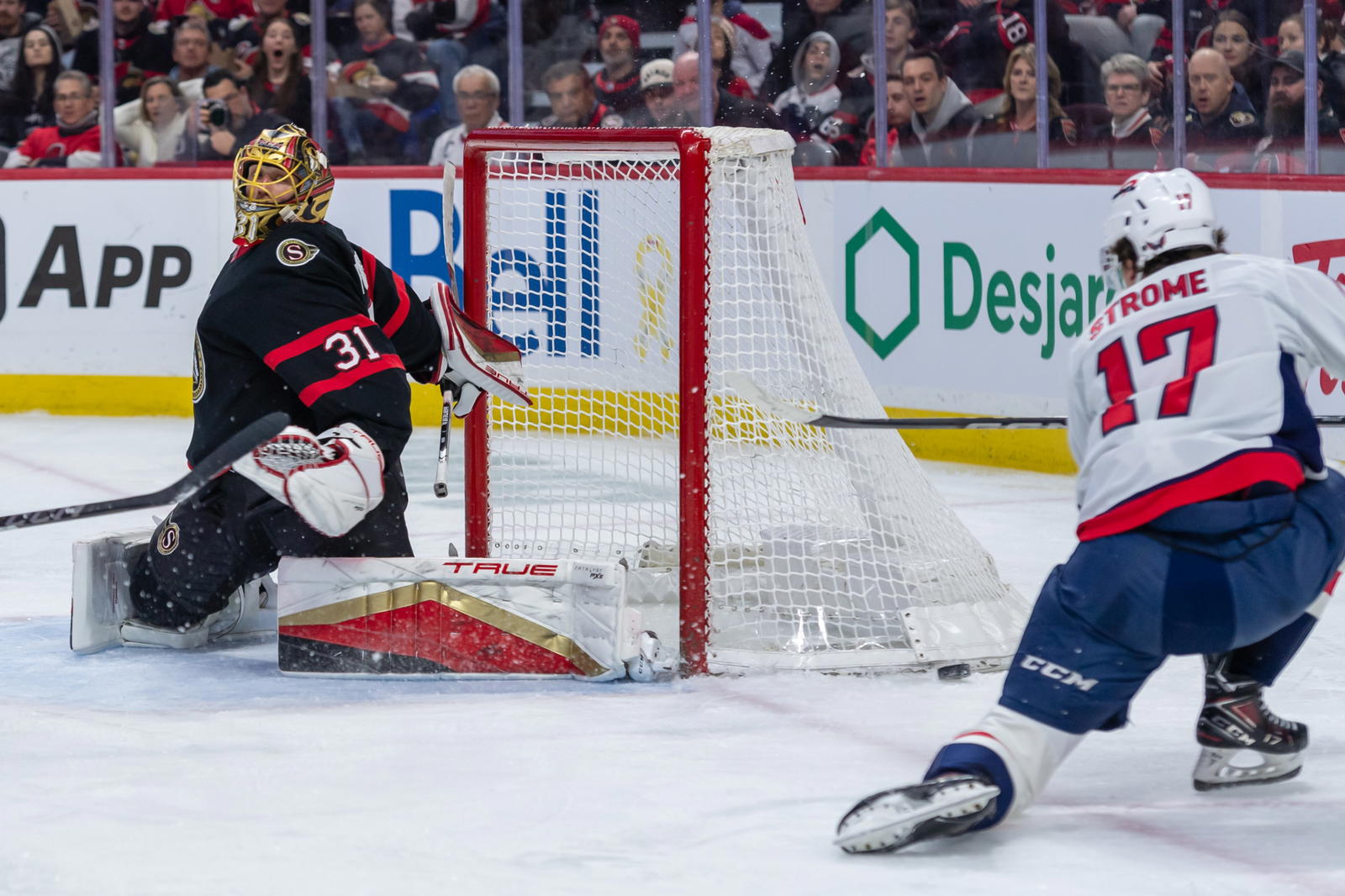 A Deep Dive into the Senators vs Capitals Rivalry