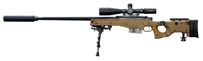The Evolution and Significance of Snipers in Modern Warfare