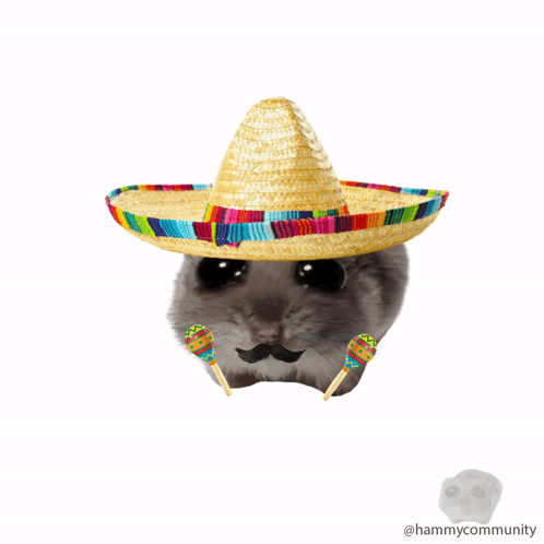 The Rise and Impact of the Sombrero Meme in Pop Culture