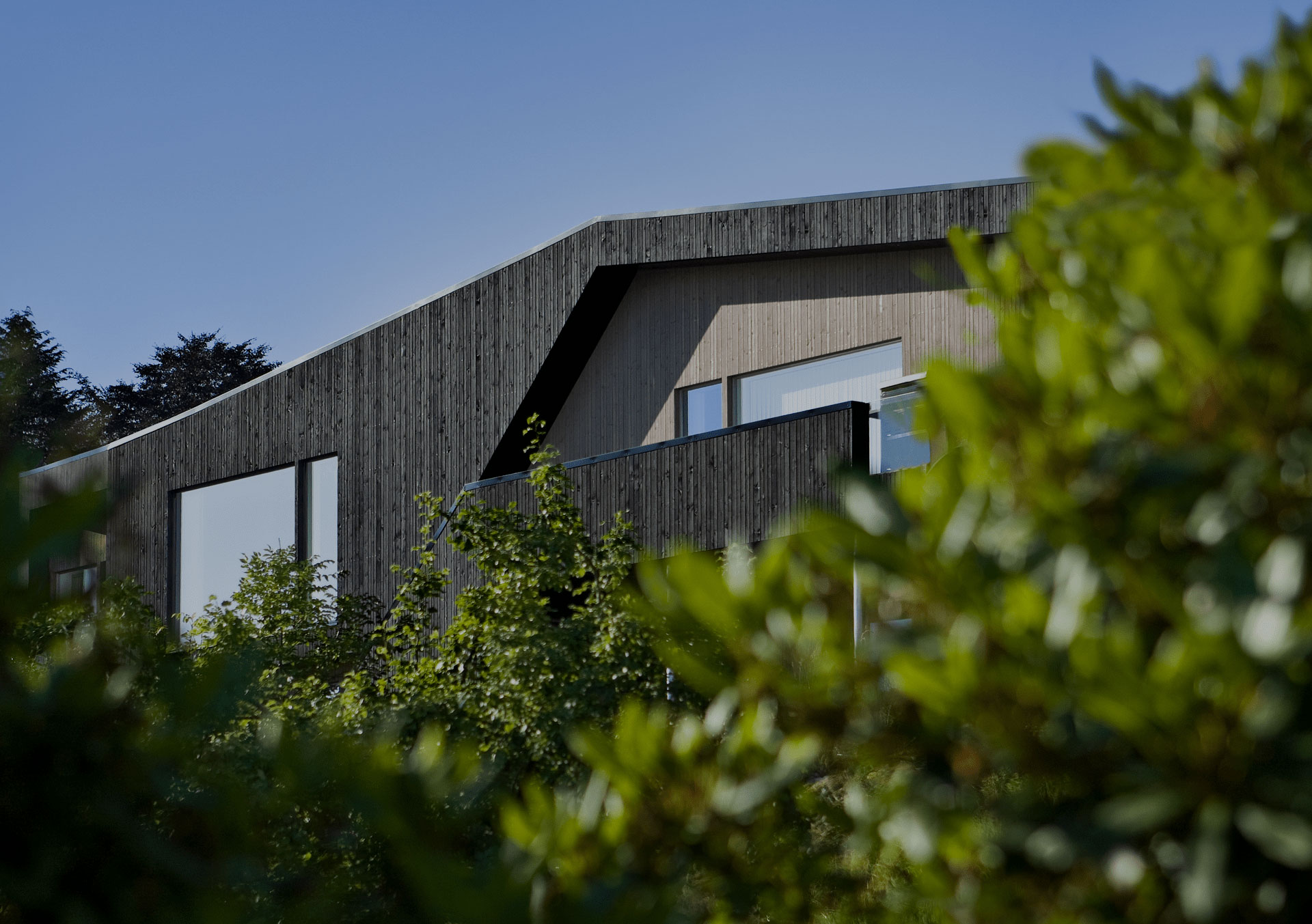 Exploring Superwood: The Future of Sustainable Materials