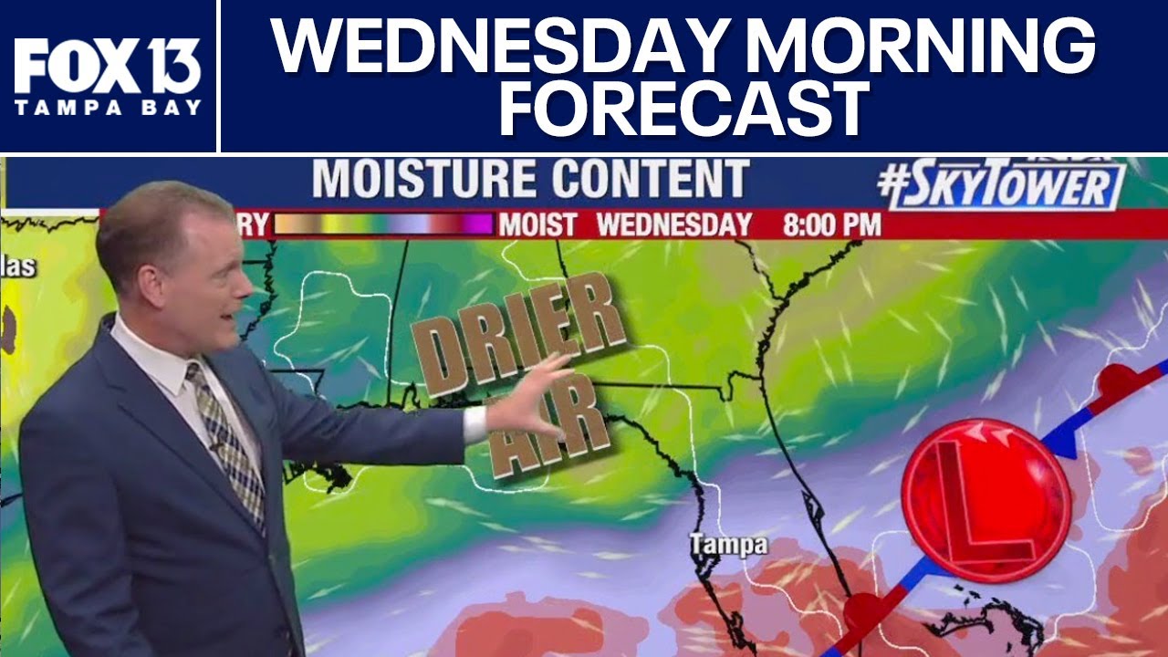 Understanding Tampa Weather: Current Conditions and Future Forecast