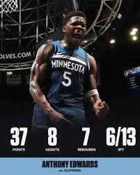 The Minnesota Timberwolves: A Look at Their 2023 Season Performance