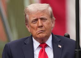 The Cultural Significance of Trump’s Face