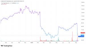 Understanding TTD Stock: Trends, Updates, and Future Prospects