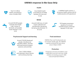 UNRWA: A Humanitarian Crisis Analysis