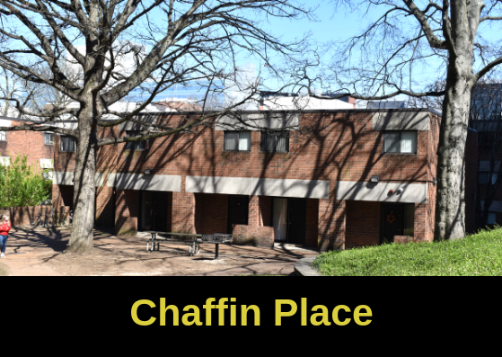 An In-Depth Look at Vanderbilt University: A Leading Institution