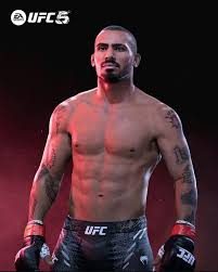 Vitor Petrino: A Rising Star in the World of MMA