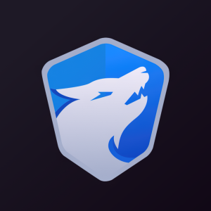 Wulf Stock: Current Trends and Future Outlook