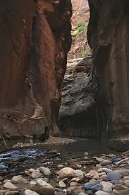 Discover the Beauty of Zion National Park