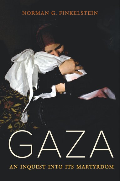 Exploring the Controversial Life of Norman Finkelstein