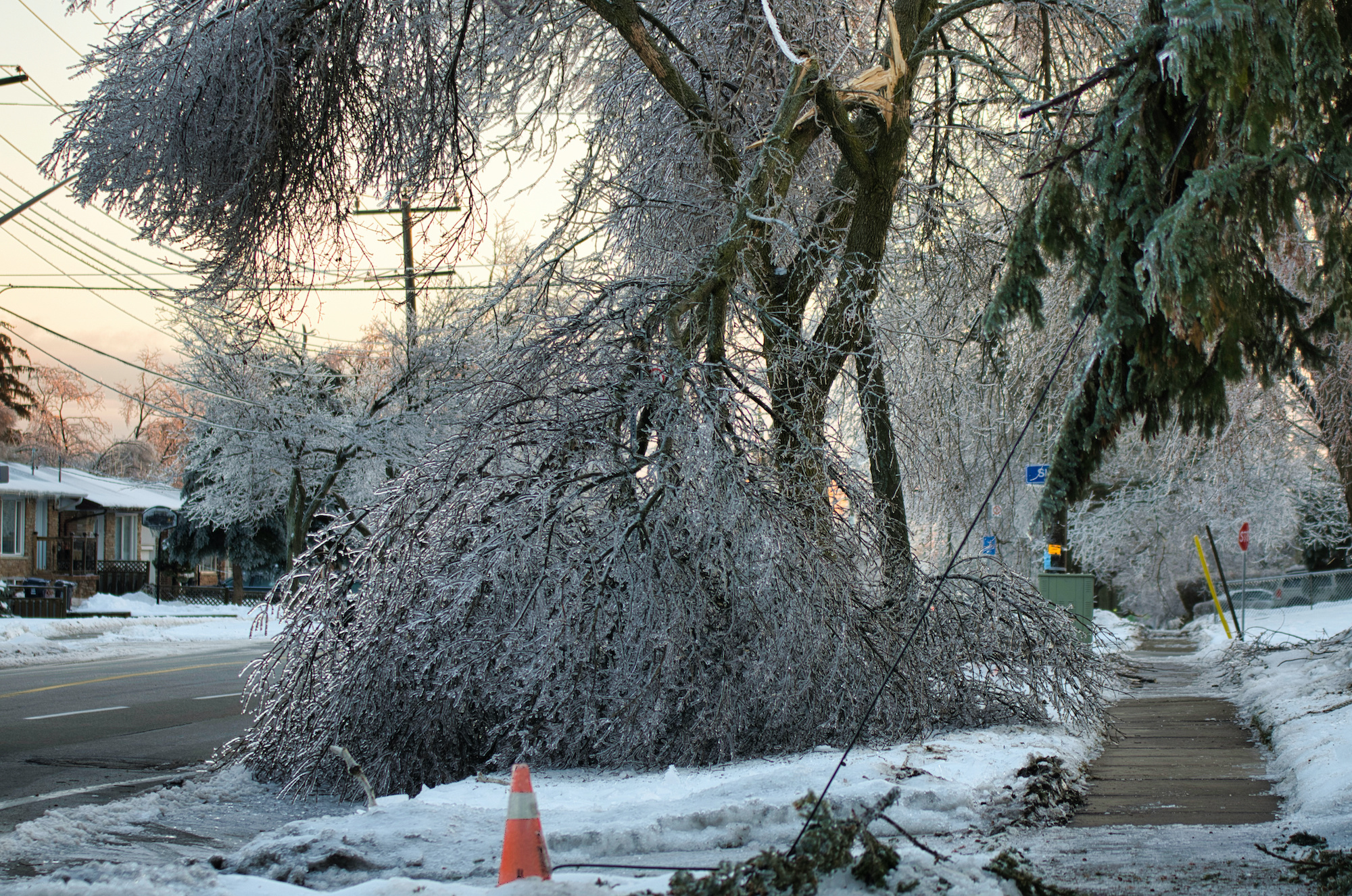 Latest Barrie Weather Forecast: What to Expect This Week