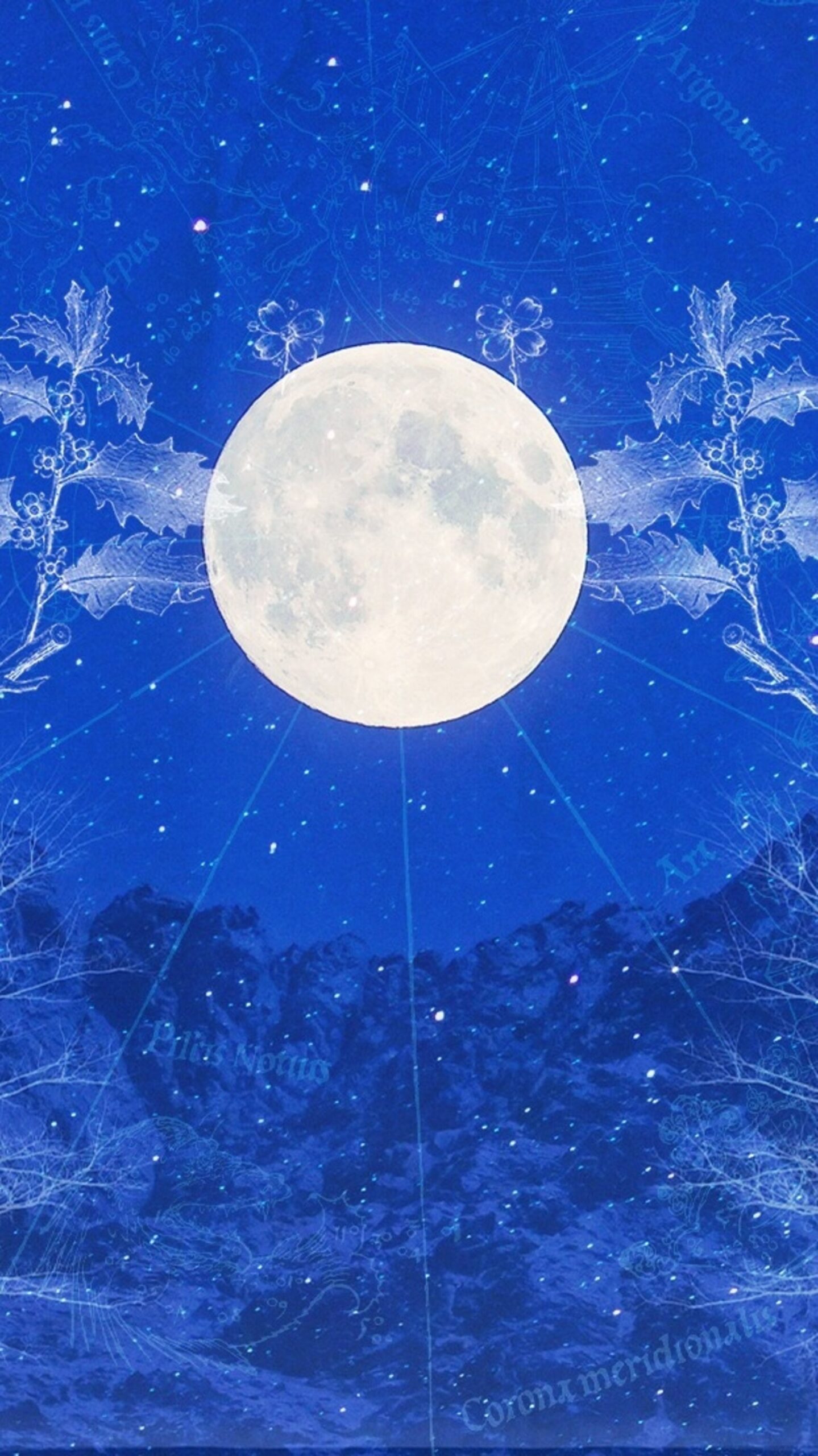 Understanding Cold Moon Full Moon Astrology