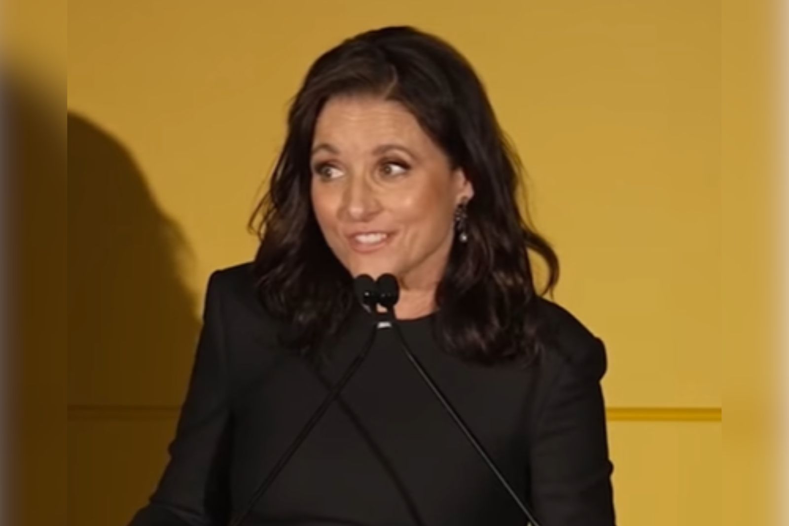 Julia Louis-Dreyfus: Celebrating a Comedy Icon