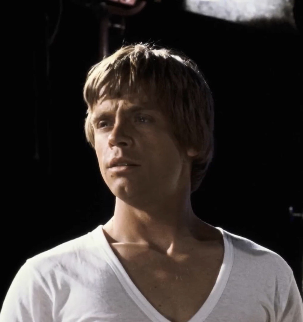 Mark Hamill: The Legacy of Luke Skywalker