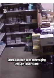 Explore the Offerings of Racoon Liquor Store