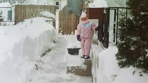The Joy and Impact of Snow Days: A Seasonal Celebration