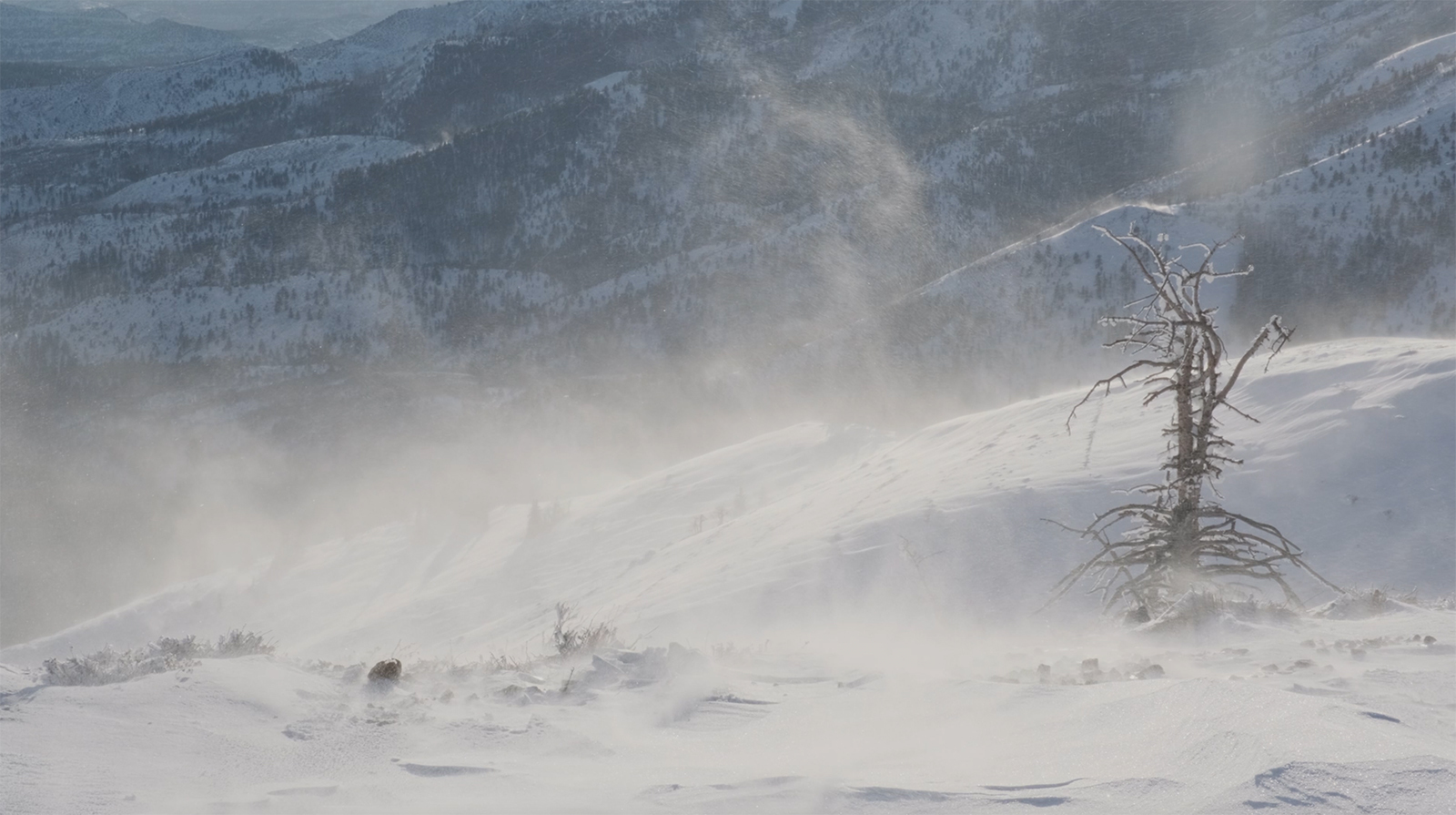 What You Need to Know About Snow Squalls