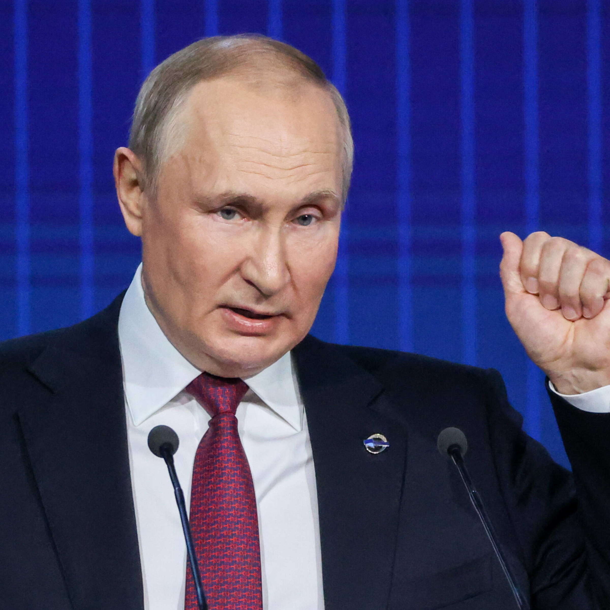 Discovering the World of Vladimir Poutine