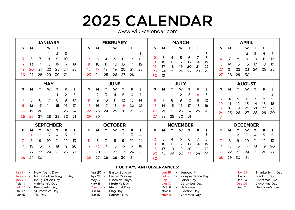 A Comprehensive Look at Year in Search 2025