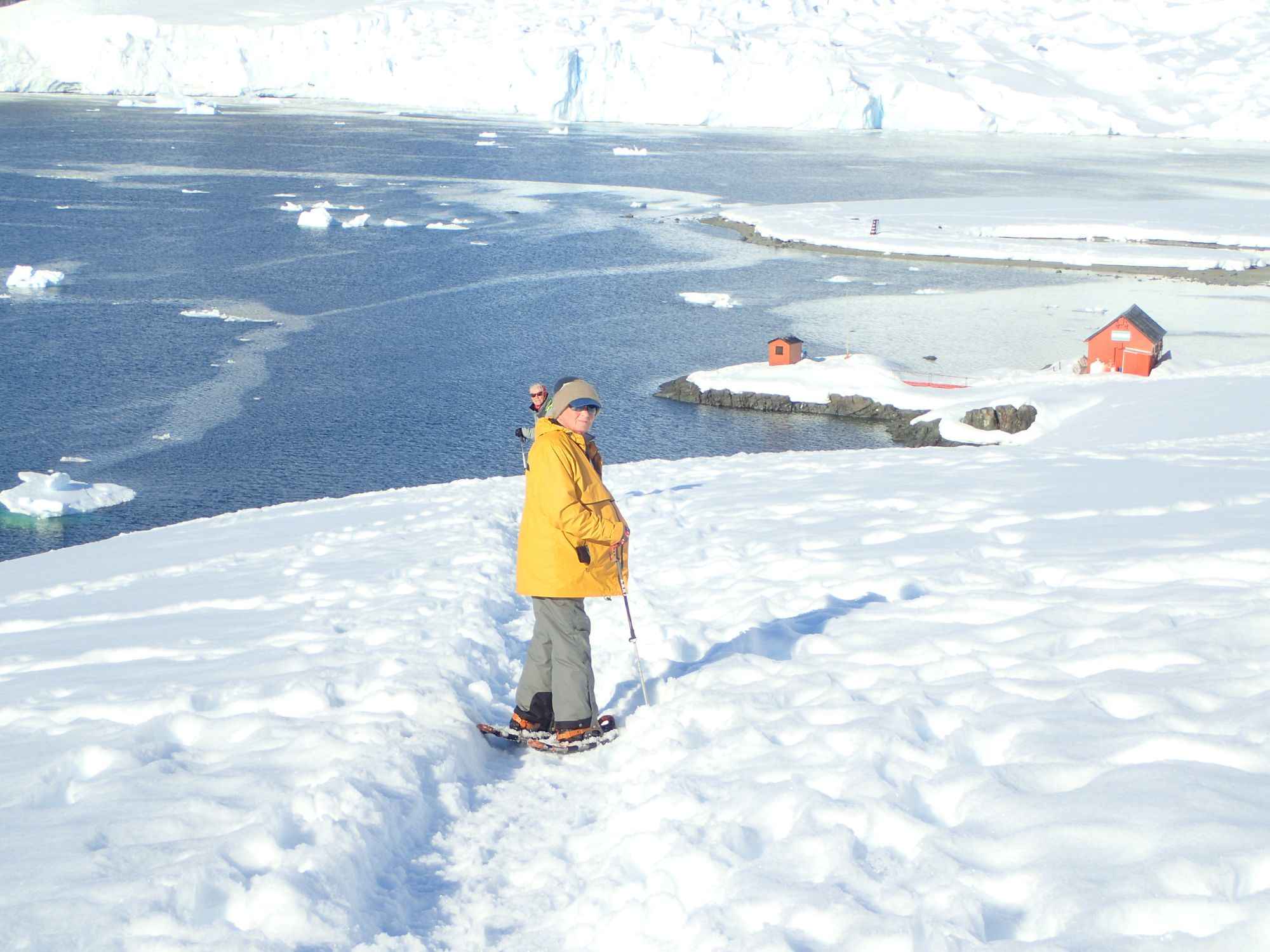 Understanding Antarctica Weather: Patterns and Implications