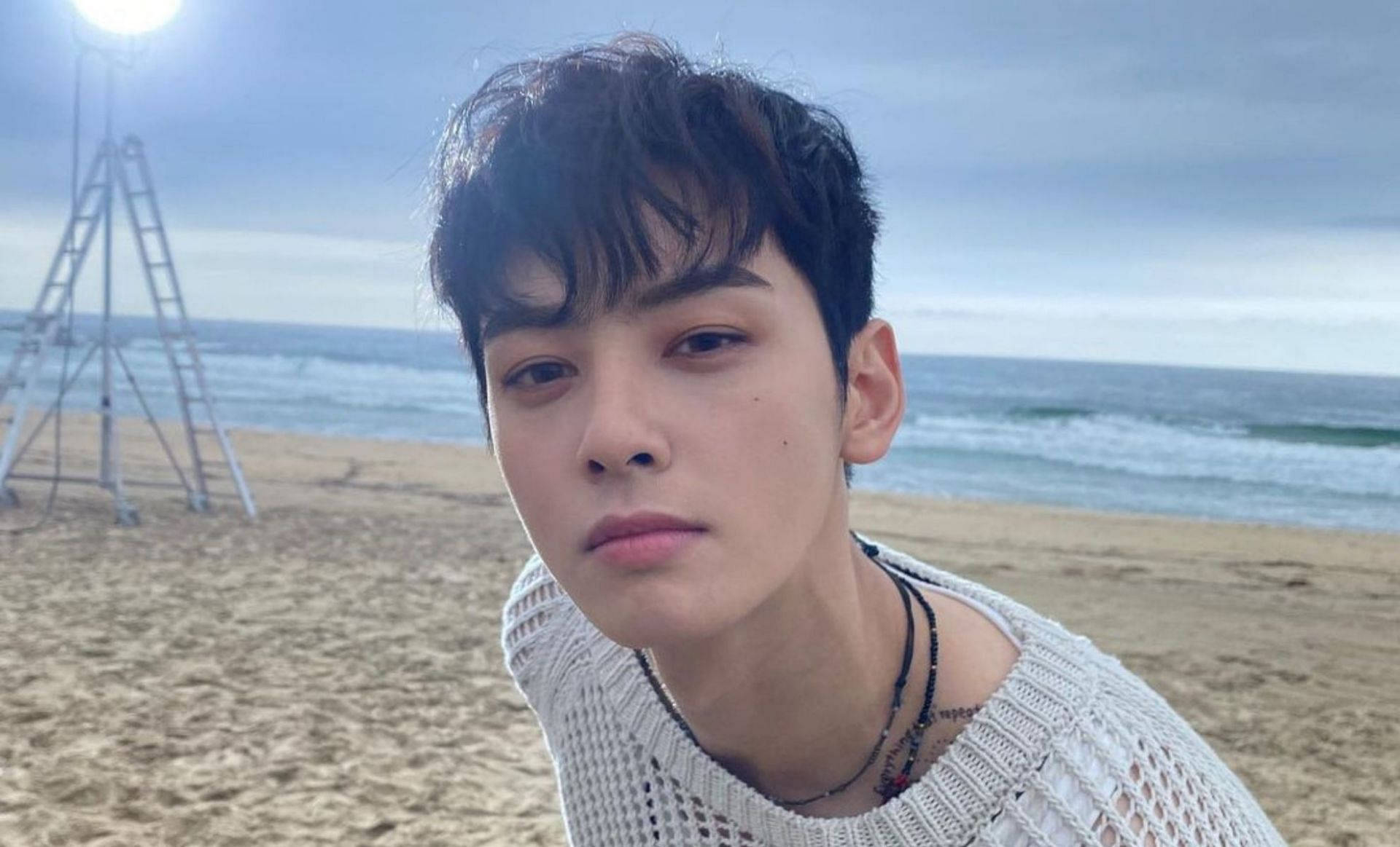 Unveiling Cha Eun Woo: K-Pop Sensation and Talented Actor