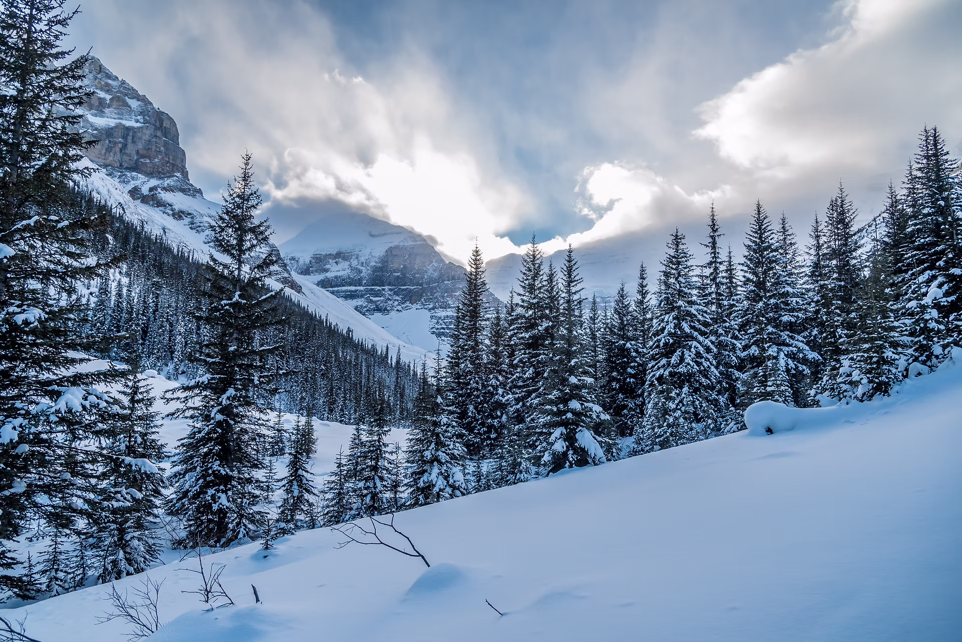 Understanding Current Snow Emergency Levels Near You